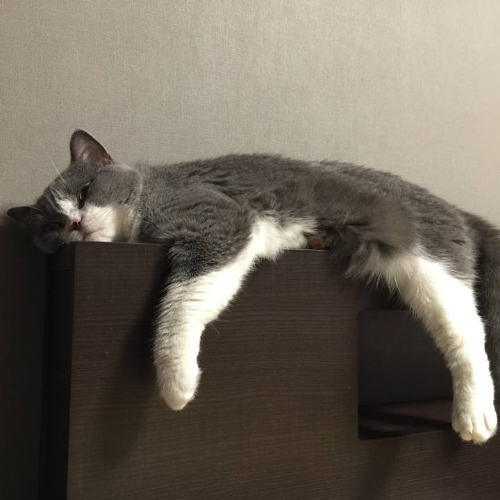 A8a3f840 b006 4e38 9368 b19eb383ea8b