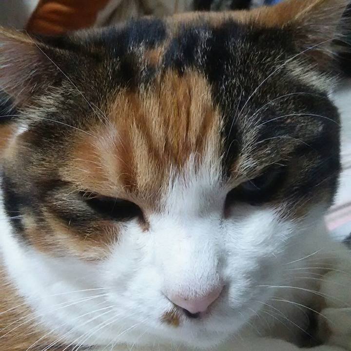 A8a44915 5956 4f4b ada8 67ccfaa779f0