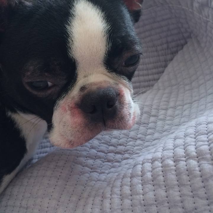 A8a68108 b8f8 45ee 97a4 4494f2955a2b