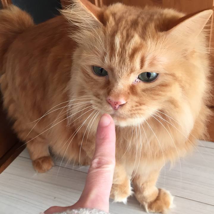 A8a6c97f 8dfb 43a9 9d3b daab3510dabd