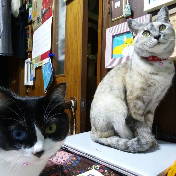 A8a7356c 1d88 4e8e 97f3 b939bf0279ca