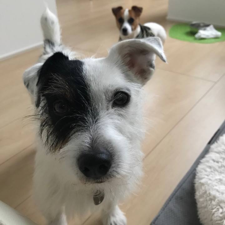 A8a9141d 58e3 44dc bbff 1689c88782b3