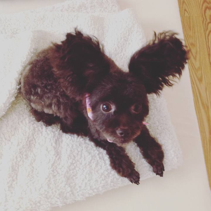 A8a9d9f5 2bb3 4b21 9d7f 2fbad26109a4