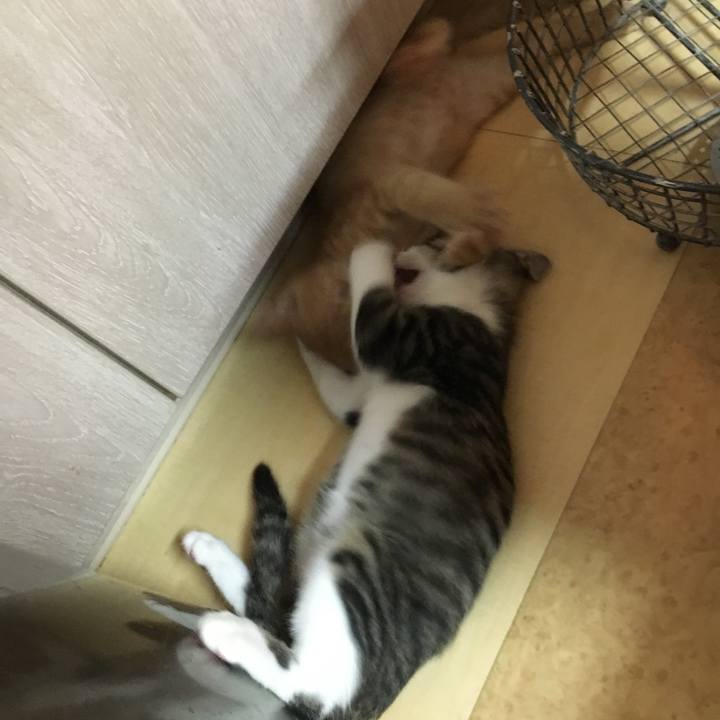 A8a9efc9 5e71 4fc7 8563 cae1386dbcab