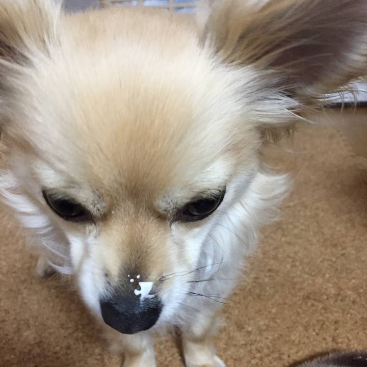 A8aa3691 8d3f 4750 aef2 667e4fcc7e52