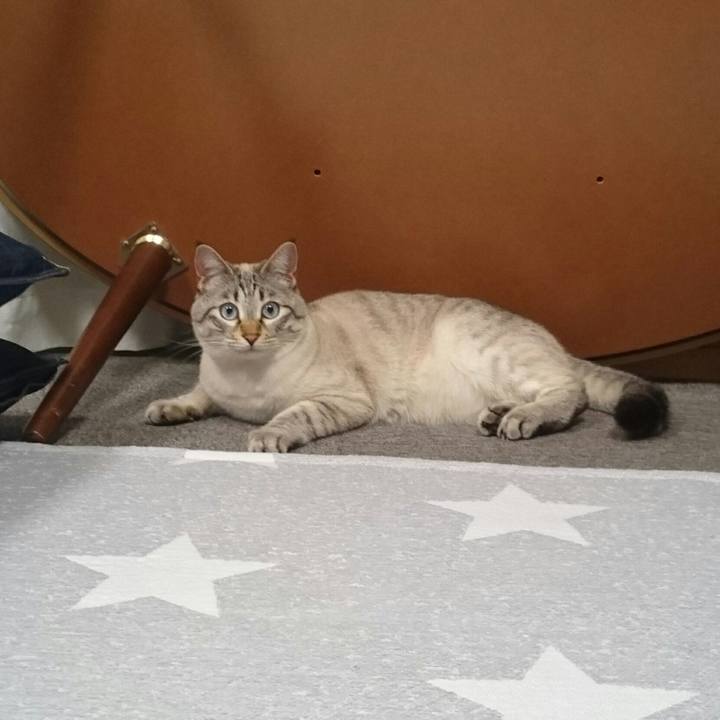 A8aa3f7e d39c 4ee0 9c53 a4eee64d5a22