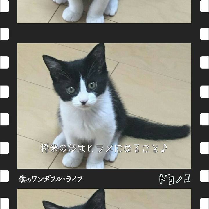 A8aac93c f639 453c 925d 5c054223c295