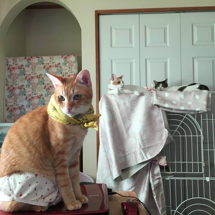 A8aad4ab 7db4 4af6 b8e1 84d1580a9967