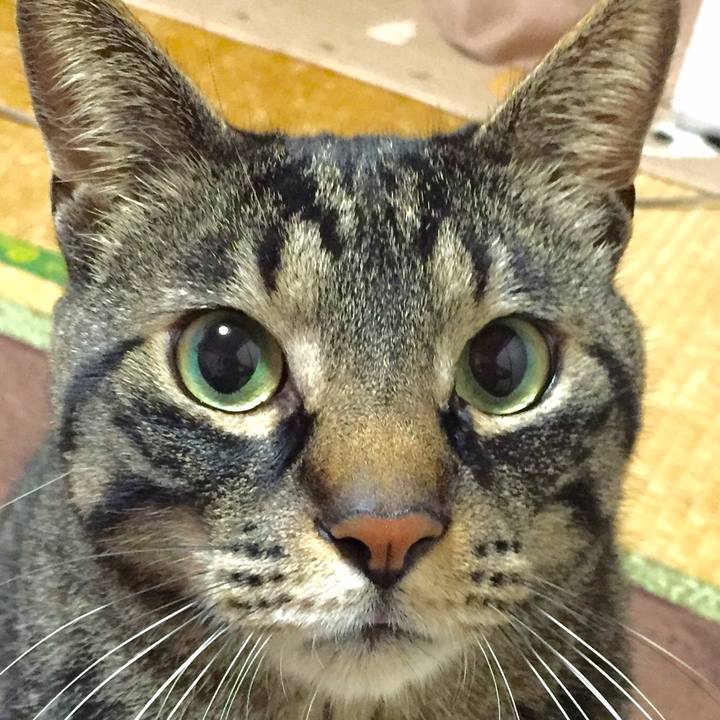 A8acf010 bce4 4177 bb6d 2b374260a978