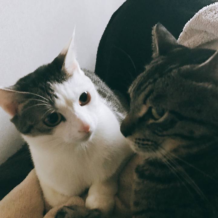 A8ae057b 211d 48f3 8848 b8ce155e0f03