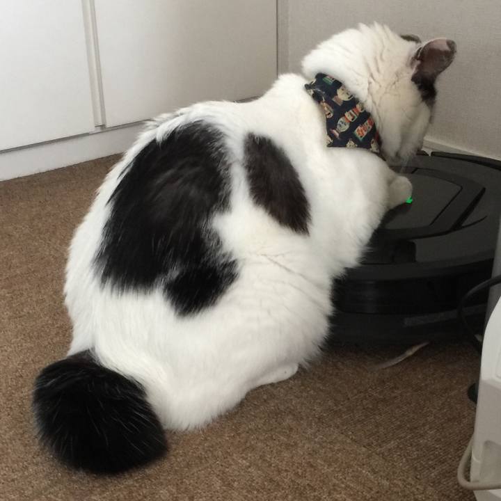 A8ae67eb f04b 4325 96d5 284a923f9572