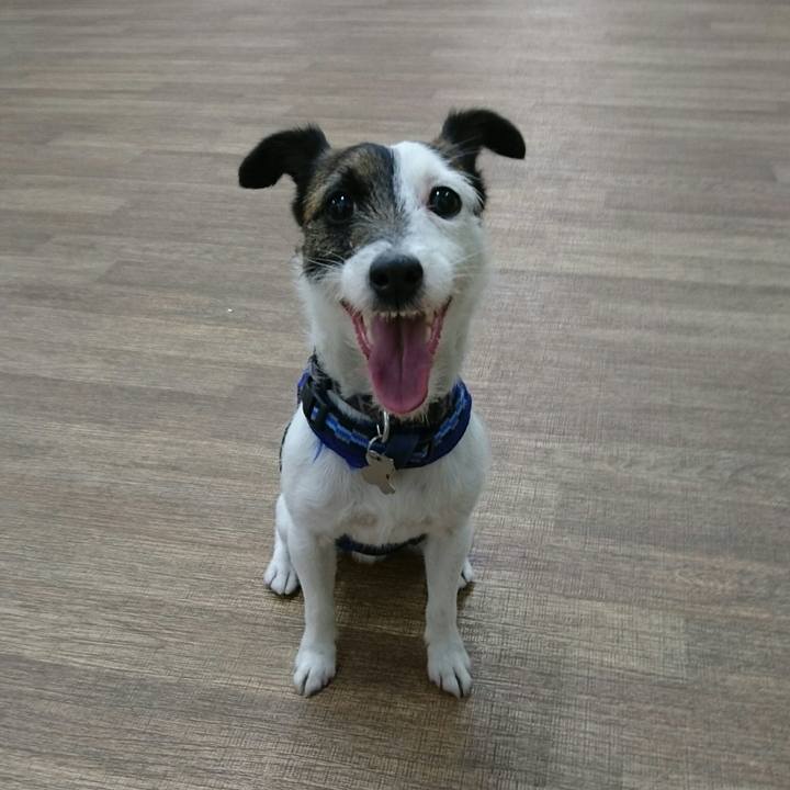 A8af5412 cf71 455f 9044 653a77fbbe4a