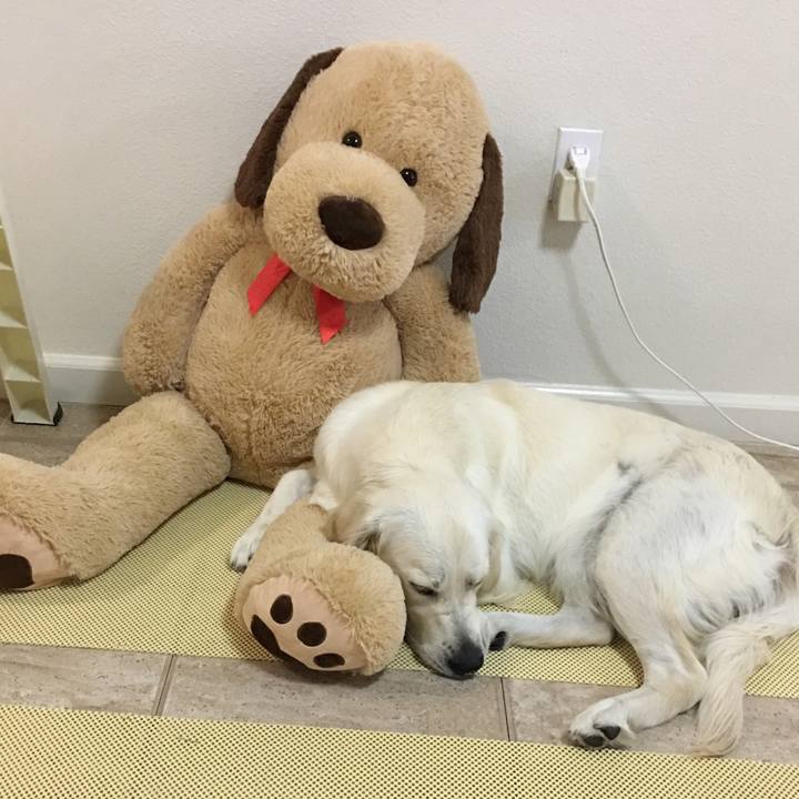 A8afc3c0 1abc 40e7 a96a b690744d71a1