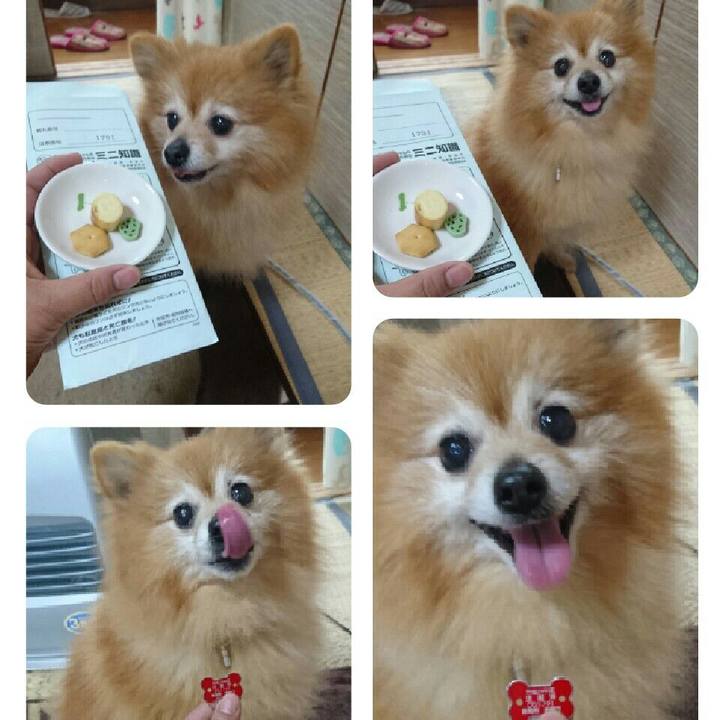 A8afc89d d96e 4f5a b798 758a4c7cf20b