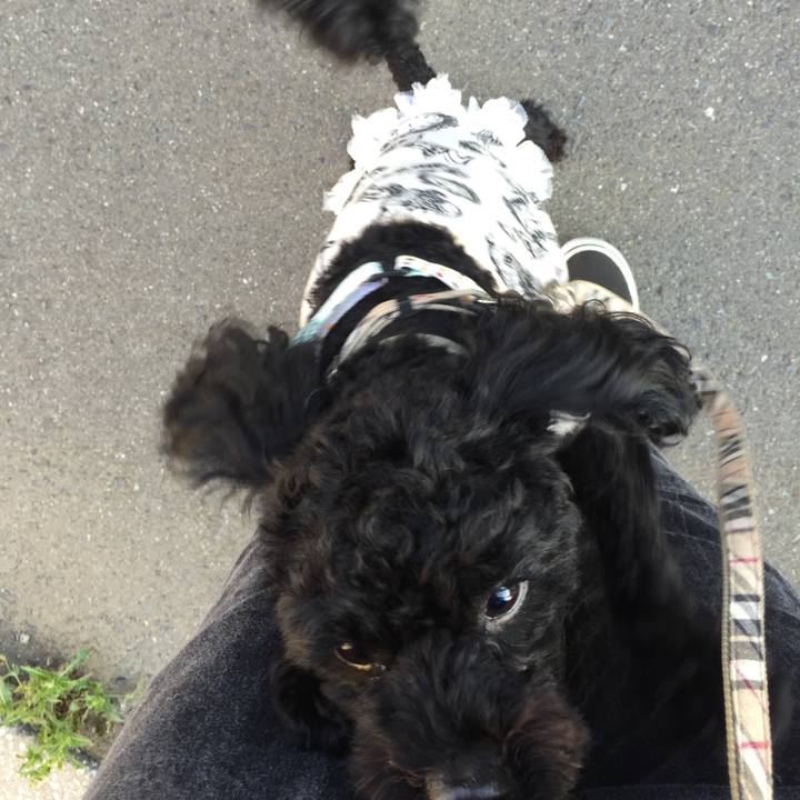 A8b07d04 8e6d 461b ae5b c220854dbe0d