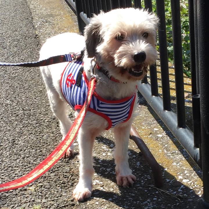 A8b0b55a cd71 4d07 b519 3520ae0c6279