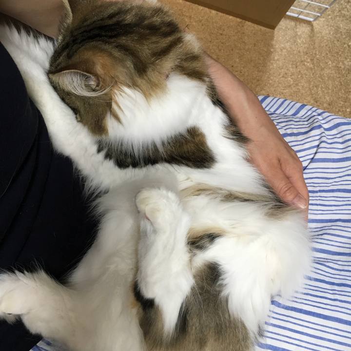 A8b0e472 304c 45e0 89de 3539f35cf8a9