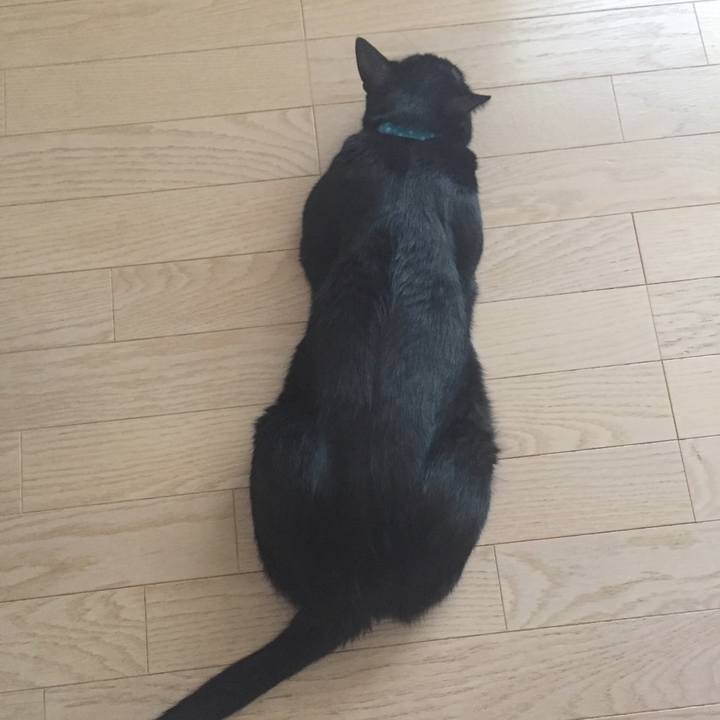 A8b1bf65 18c0 4130 941d 0eb8e0798293