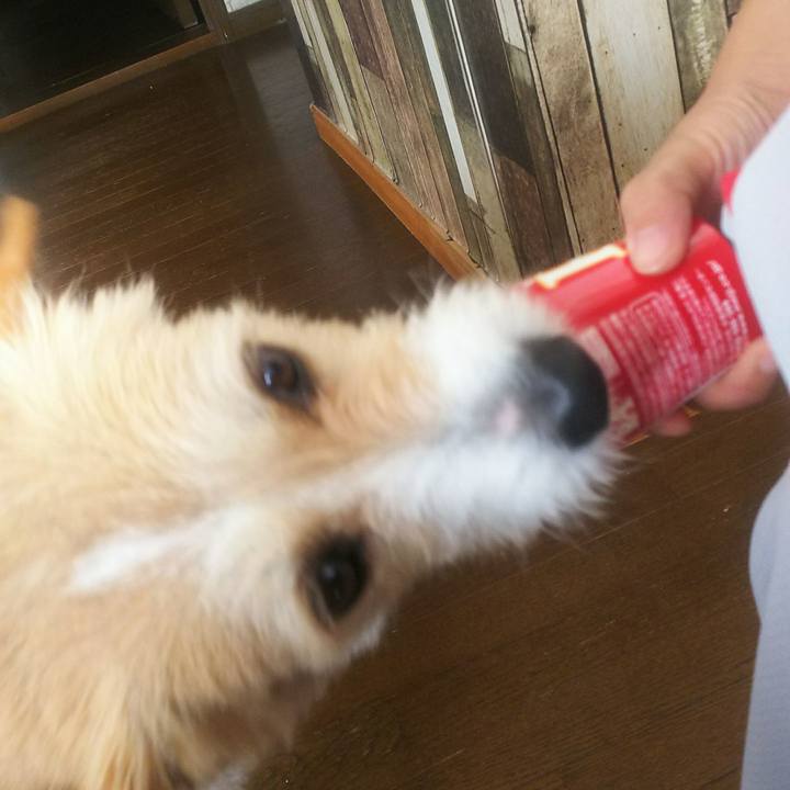 A8b1eeb5 133d 47c7 940e 0711325a4ade