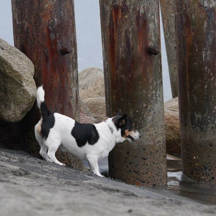 A8b1ffec eb7a 45e2 a90c 6df7fdd7ac03