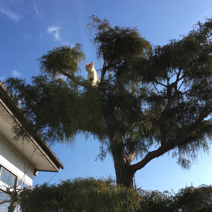 A8b219a5 5532 4424 8d5e 7fab80ccbb4c