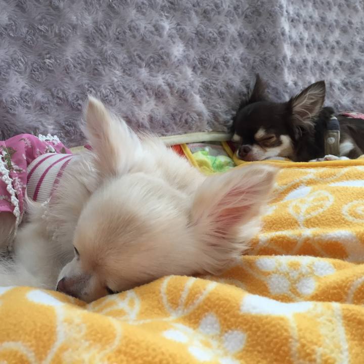 A8b25c75 4de4 4bfb a5dc 83f378fc95de