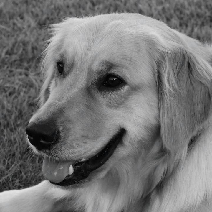 A8b2de5d 39ba 48d4 9cb1 b524a4c23818