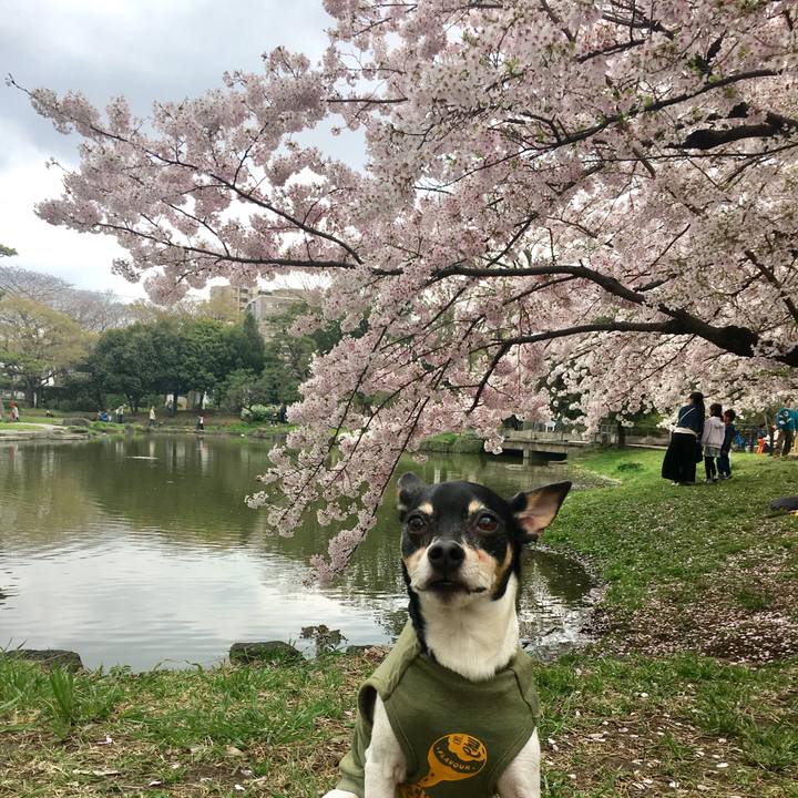 A8b3e5c1 4d01 4375 a8f0 2e2324d76813