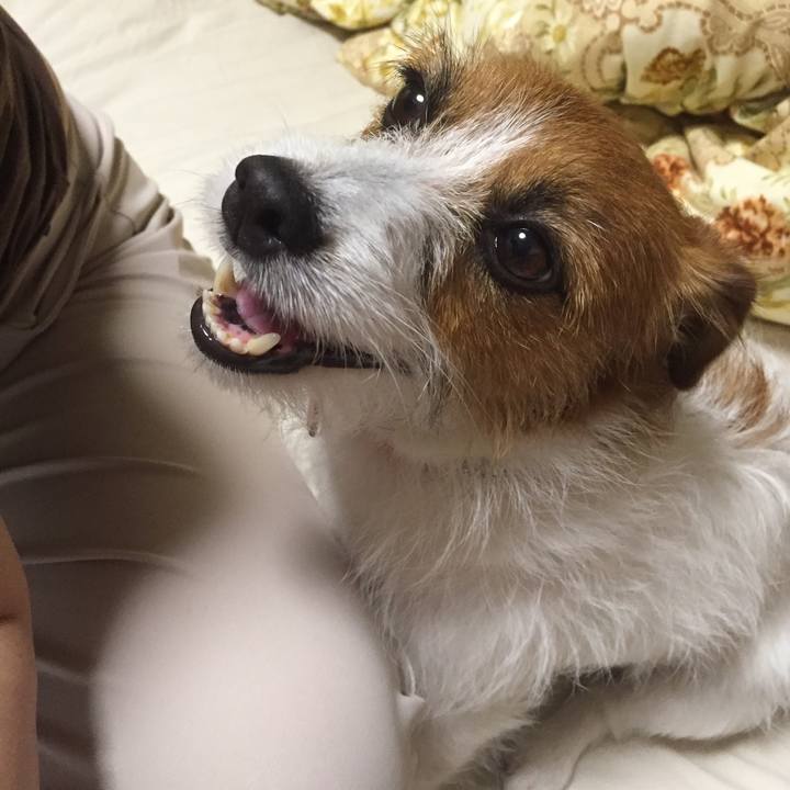 A8b46403 336c 443e 856f 3accac3f3afa