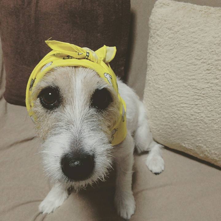 A8b4e81a b185 4adc a266 9069a26ad0d3