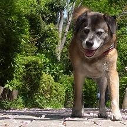 A8b504ad ea44 43a9 9595 17b994ac425d