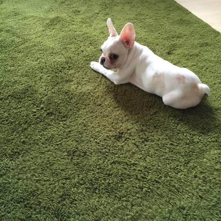 A8b5189e d45c 4888 ada5 21035bc45c38