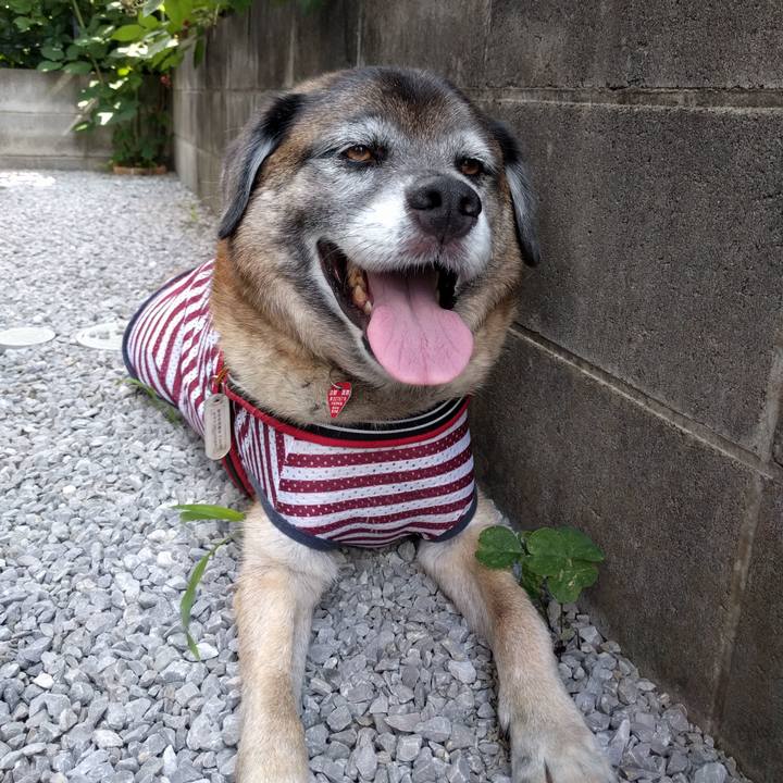 A8b589e7 0f49 4044 b43d f3fdc856ad7a