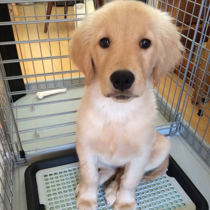 A8b5fcac 9499 4bf9 9352 504af5762e33