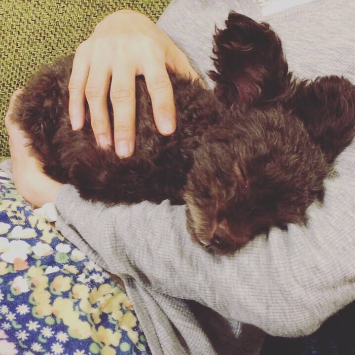 A8b66fc7 a735 4143 b104 7bcf4bb4ab0c