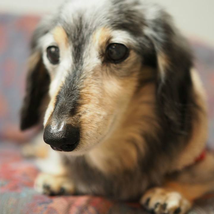 A8b67f08 7f00 4d27 a75b 075b4feadd3b