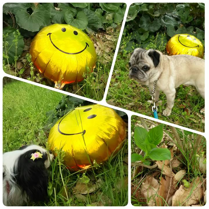 A8b73419 a3c3 4020 a5d6 8dc0c73ed9d6