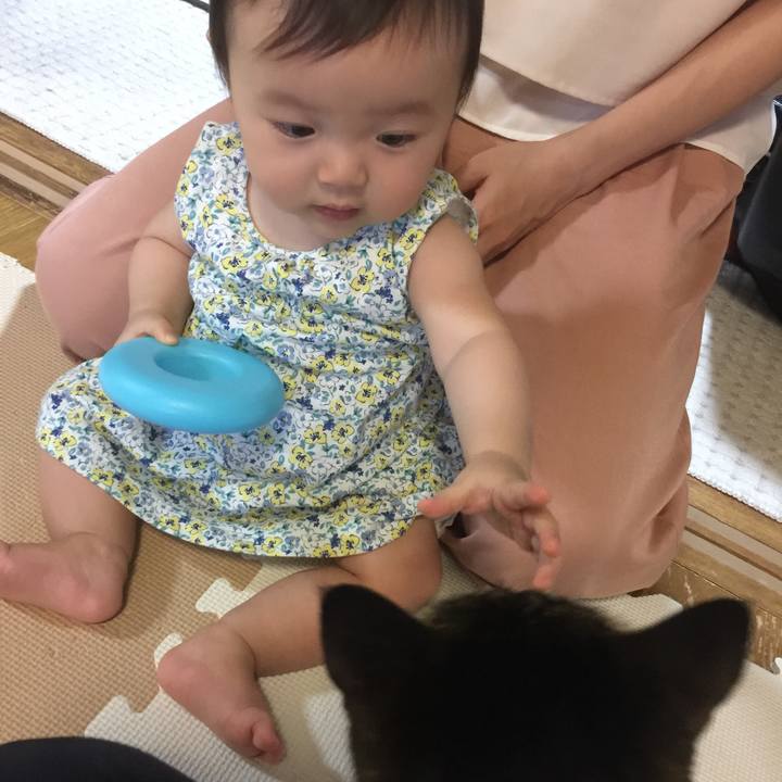 A8b75a95 32d7 4b42 89d2 aac829e12fc0