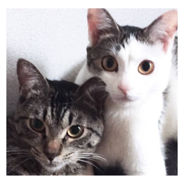 A8b79fa5 9c68 410c 9104 c7b427d61555