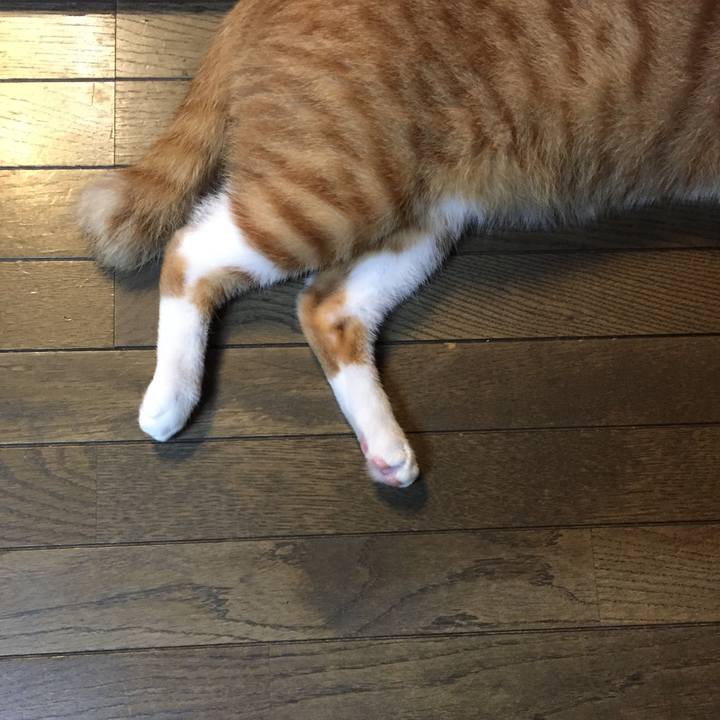 A8b7a889 dad4 4ad7 a4b0 a775e9df783d