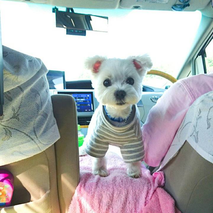 A8b7f5e2 f2e9 4fd0 ba61 ae17ed8892c7