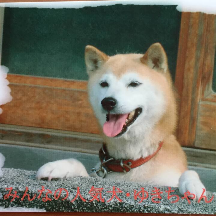 A8b84171 f032 48ae a76b 15ff86c686dd