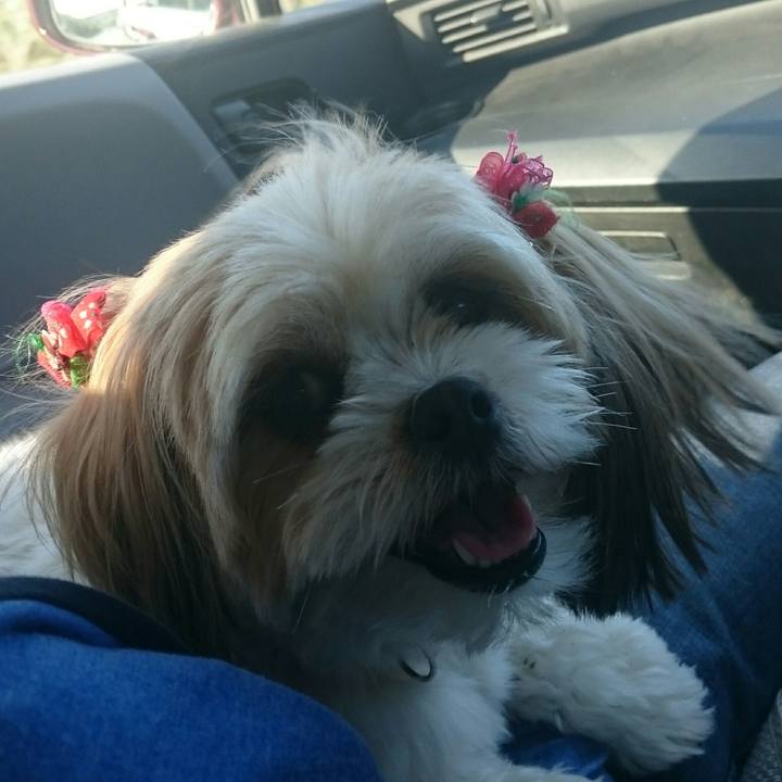 A8b8b72b 4720 4907 83a4 ae7e8dc11838