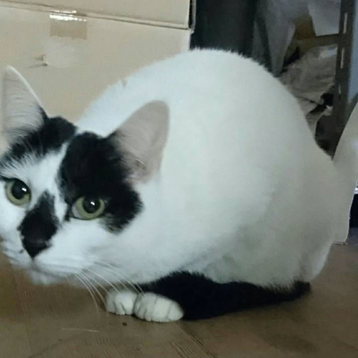 A8b9a350 ad94 4b03 bf9f 340bc8270df5