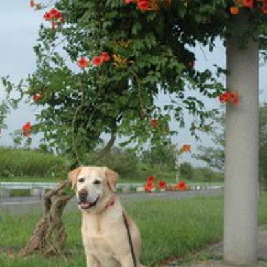 A8ba27fd 317c 4f7e 8df4 d1d83cf5ca99