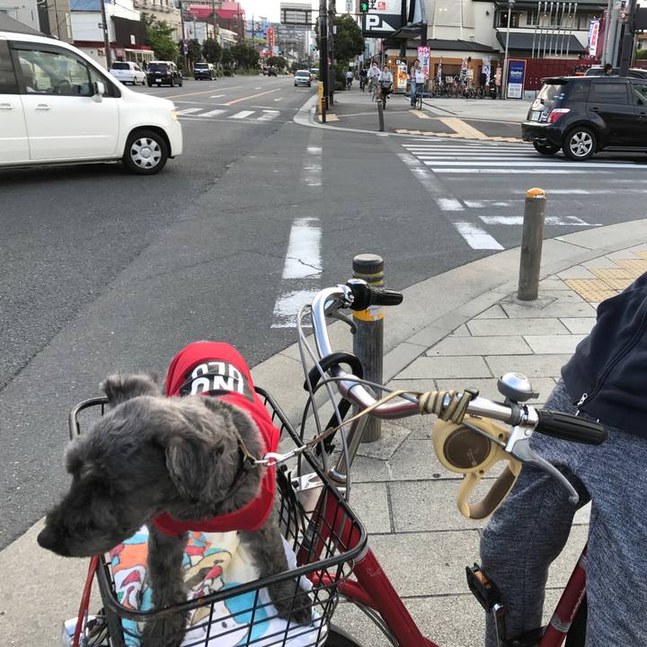 A8baa248 3a29 41cd 8f8a 800f4854a4d2