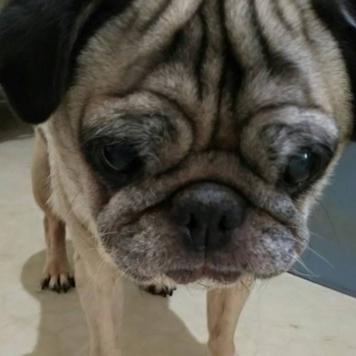 A8baf38a f773 4f03 b8d5 ff4cbfef7ac2