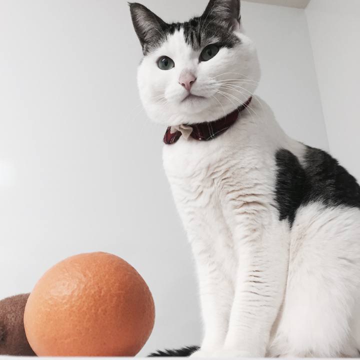 A8bb1745 2eca 45af bf91 6340fc18f5a0