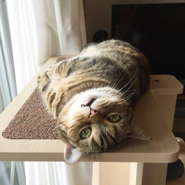 A8bb4d59 51f9 47f3 b2b3 b10016af26d2