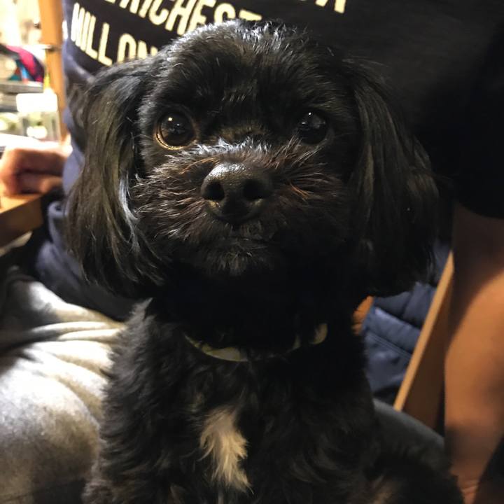 A8bb94de 1e5a 4ef5 bb10 b3671388b5ca